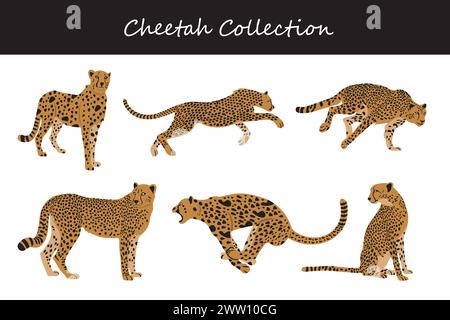 Cheetah Collection. Illustrazione vettoriale. Isolato su sfondo bianco. Illustrazione Vettoriale