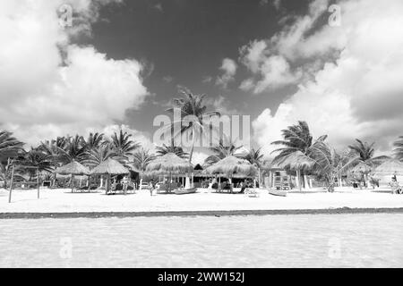 Costa Maya, Messico - 1° febbraio 2016: Spiaggia estiva con palme per le vacanze estive. Foto Stock