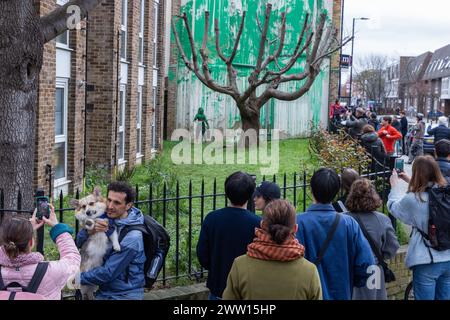 Londra, Regno Unito. 19 marzo 2024. I membri del pubblico ammirano e scattano fotografie di nuove opere d'arte dell'artista di strada di fama mondiale Banksy, apparsa il giorno precedente sul lato di un edificio residenziale dietro un albero situato nel giardino di un edificio residenziale a Finsbury Park. L'opera d'arte, rivendicata dall'artista di strada, prende la forma di vernice verde spruzzata su un muro dietro un albero di ciliegio pollarded in modo da apparire come fogliame se vista dalla parte anteriore, insieme a uno stencil di una donna che tiene una idropulitrice. La tonalità di vernice verde usata sembra corrispondere a quella usata da Islington Foto Stock