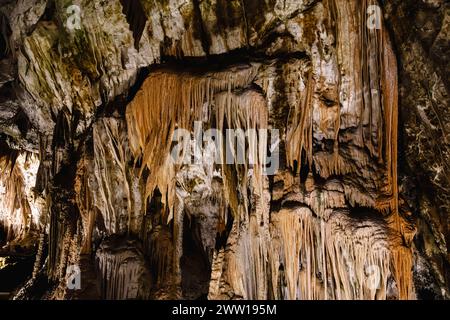 Stalattiti, formazioni rocciose naturali nelle grotte calcaree di Postojnska Jama (Parco delle grotte di Postumia), Slovenia, Europa centrale e orientale Foto Stock