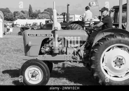 Drayton.Somerset.regno unito.19 agosto 2023. Un David Brown 950 restaurato è in mostra ad un evento agricolo di Yesterdays Foto Stock