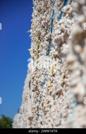 Produzione di cotone pronta per essere spedita in fabbrica con camion. Foto Stock