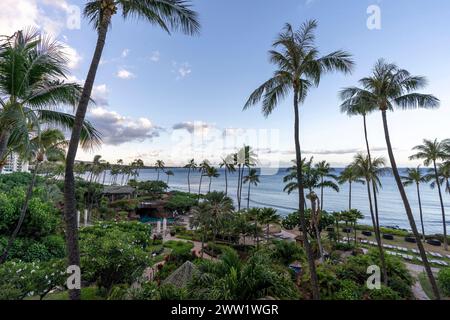 Affacciato sul blu cristallino dell'Oceano Pacifico e sulle torreggianti palme di Ka'anapali Beach, situato a Lahaina, Hawaii, sull'isola di Maui. Foto Stock