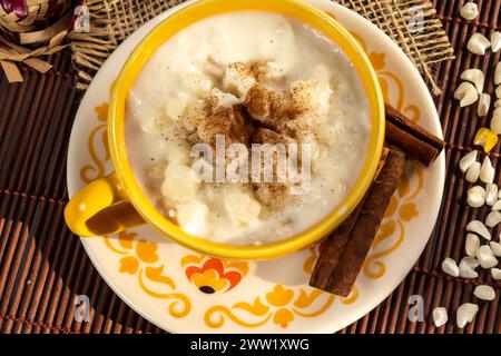 Dolce tipico brasiliano, Canjica. Porridge di mais bianco con cannella e cocco. Consumata nei festeggiamenti di giugno (Festa Junina) Foto Stock