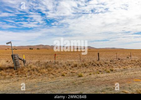 Paesaggio australiano vicino a Dutton in Australia meridionale, terreno agricolo per la coltivazione di grano e cereali, paesaggio secco nell'ondata di caldo autunnale, Australia meridionale Foto Stock