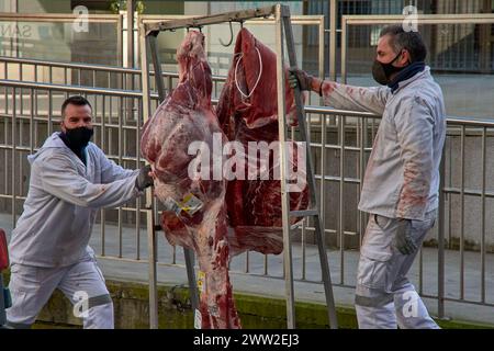 Vigo, Pontevedra, Spagna; 27 gennaio 2022; durante Covid, due macellai con il loro cappotto bianco trasportano un vitello tagliato aperto in una carcassa durante il trasporto Foto Stock