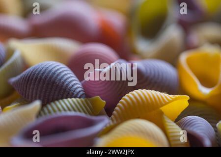 Sfondo decorativo per pasta cruda a conchiglia italiana multicolore per il design della copertina del menu o per illustrazioni gastronomiche Foto Stock