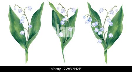 Set di acquerelli di fiori primaverili, gigli della valle su sfondo bianco. Illustrazione dipinta a mano. Primrose, piante forestali, rami, lascia un Foto Stock