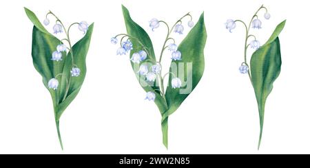 Set di acquerelli di fiori primaverili, gigli della valle su sfondo bianco. Illustrazione dipinta a mano. Primrose, piante forestali, rami, lascia un Foto Stock