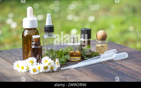 bottiglie di olio essenziale e margherite con foglie di menta fresche su un tavolo di legno all'aperto Foto Stock