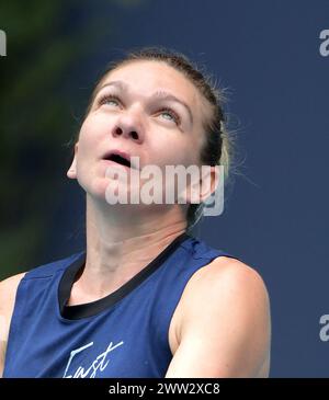 Giardini di Miami, FL - MARZO 18: Simona Halep sulla pratica corte prima di iniziare il Miami Open Tennis Tournament all'Hard Rock Stadium il 18 marzo 2019 nei giardini di Miami, Florida. Persone: Simona Halep Foto Stock