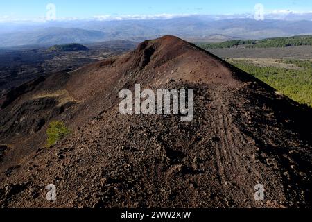 Cratere vulcanico estinto con pineta solitaria nel Parco dell'Etna e catena montuosa all'orizzonte, Sicilia, Italia Foto Stock