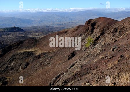 Cratere vulcanico estinto con pineta solitaria nel Parco dell'Etna e catena montuosa all'orizzonte, Sicilia, Italia Foto Stock