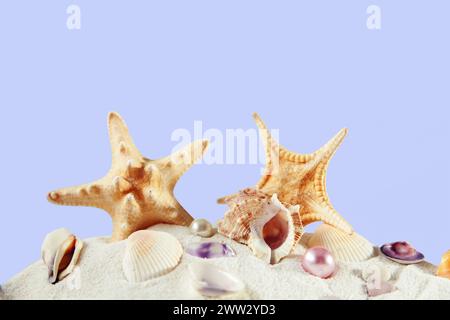 Conchiglie e stelle marine sulla sabbia. Isolato su sfondo grigio, spazio libero per le decorazioni. Foto Stock