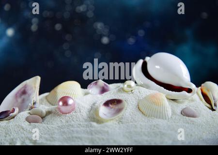 Conchiglie sulla sabbia contro il cielo notturno. Spiaggia tropicale di notte, spazio libero per la vostra decorazione. Foto Stock