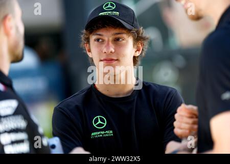 Melbourne, Australie. 21 marzo 2024. ANTONELLI Andrea Kimi (ita), Prema Racing, Dallara F2 2024, ritratto durante la Formula 1 Rolex Australian Grand Prix 2024, 3° round del Campionato del mondo di Formula 1 2024 dal 22 al 24 marzo 2024 sull'Albert Park Circuit di Melbourne, Australia - foto DPPI Credit: DPPI Media/Alamy Live News Foto Stock