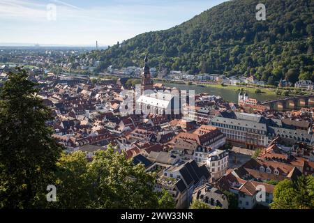 La vista di Heidelberg e di una collina verde coperta da alberi lussureggianti. Germania Foto Stock