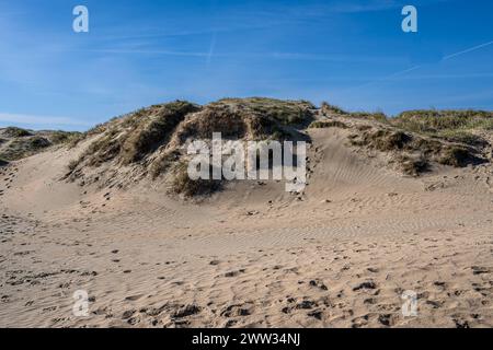 DNK, Wetterfeature Romo - Lakolk Strand / 21.03.2024, Lakolk Strand, Romo, DNK, Wetterfeature Romo - Lakolk Strand, im Bild Feature Dünenlandschaft *** DNK, Weather Feature Romo Lakolk Strand 21 03 2024, Lakolk Strand, Romo, DNK, Meteo Feature Romo Lakolk Strand, nella foto dune paesaggio nordh00hmkhnx001 Foto Stock