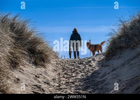 DNK, Wetterfeature Romo - Lakolk Strand / 21.03.2024, Lakolk Strand, Romo, DNK, Wetterfeature Romo - Lakolk Strand, im Bild Feature Dünenlandschaft *** DNK, Weather Feature Romo Lakolk Strand 21 03 2024, Lakolk Strand, Romo, DNK, Meteo Feature Romo Lakolk Strand, nella foto dune paesaggio nordh00hmkhnx001 Foto Stock