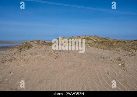 DNK, Wetterfeature Romo - Lakolk Strand / 21.03.2024, Lakolk Strand, Romo, DNK, Wetterfeature Romo - Lakolk Strand, im Bild Feature Dünenlandschaft *** DNK, Weather Feature Romo Lakolk Strand 21 03 2024, Lakolk Strand, Romo, DNK, Meteo Feature Romo Lakolk Strand, nella foto dune paesaggio nordh00hmkhnx001 Foto Stock