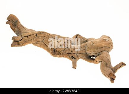 Driftwood raccolto su una spiaggia, Regno Unito Foto Stock