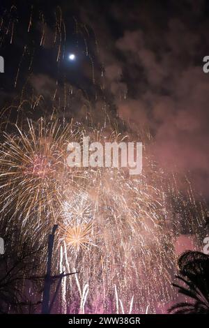 I bellissimi fuochi d'artificio di diversi colori e forme esplodono nel cielo di Valencia durante la celebrazione delle Fallas Foto Stock