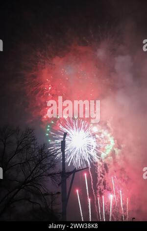 I bellissimi fuochi d'artificio di diversi colori e forme esplodono nel cielo di Valencia durante la celebrazione delle Fallas Foto Stock