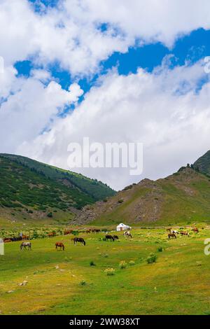 Splendida natura del Kazakistan sull'altopiano dell'Assy. Yurta bianca con animali da pascolo nelle vicinanze. Foto Stock