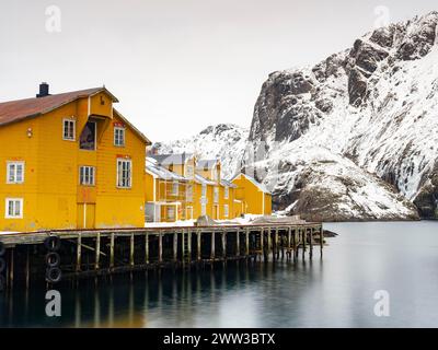 Case gialle su palafitte nel porto dell'autentico villaggio di pescatori di Nusfjord, montagne innevate sullo sfondo, Flakstadoya e Lofoten Foto Stock