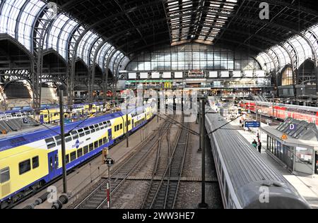 Vista sui binari con treni e passeggeri in un ampio atrio della stazione, Amburgo, città anseatica di Amburgo, Germania Foto Stock