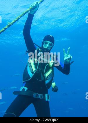 Tuffati in una sosta di sicurezza presso la linea di ancoraggio, relitto del Thistlegorm, Mar Rosso, Egitto Foto Stock