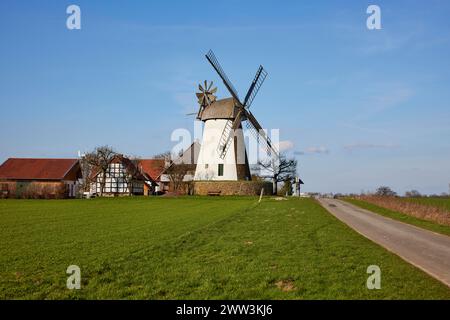 Il mulino a vento Eickhorst, un Wallhollaender del 1848, fa parte della Westphalian Mill Road sotto un cielo blu a Hille, Muehlenkreis Minden-Luebbecke Foto Stock