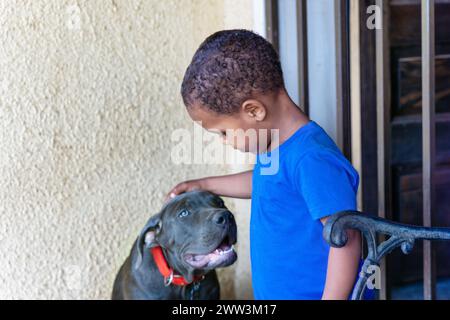 ragazzo africano che gioca con il suo cucciolo boerboel di fronte alla casa, nella township, al mattino Foto Stock