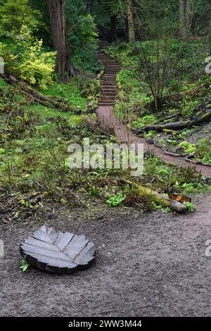 sentiero e passi nel bosco Foto Stock