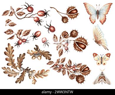 Adagiato con farfalle e falene, foglie di quercia con ghianda, castagne e rosehip. Acquerello illustrazione disegnata a mano di piante e insetti. Clipart autunnale. Foto Stock