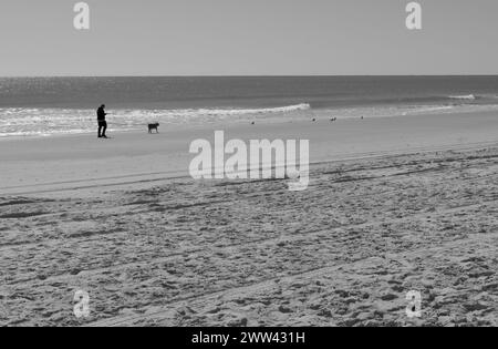 La foto mostra un uomo che cammina con il suo cane sulla spiaggia di Garden City vicino a Myrtle Beach, South Carolina, USA. Foto Stock