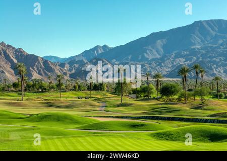 Prato verde e palme in un campo da golf a Palm Springs, California Foto Stock