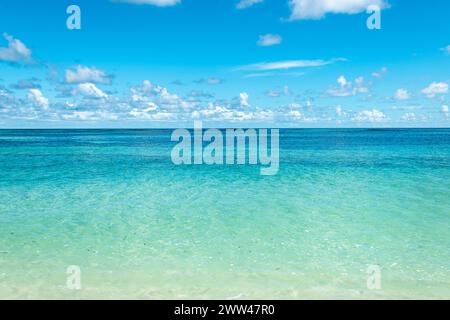 Acque tropicali turchesi e cristalline, Seychelles. Foto Stock