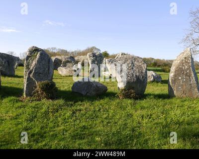 Pietre erette, paesaggio di megaliti in file a Erdeven, Morbihan, Francia. Parte della regione megalitica di Carnac. Menhir, rocce di granito Foto Stock