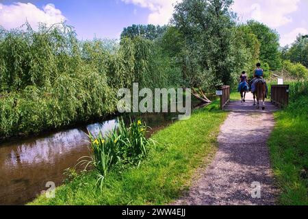 Relaxed horseback riding in the Schwalm Nette nature reserve, Germany, Schwalmtal Stock Photo