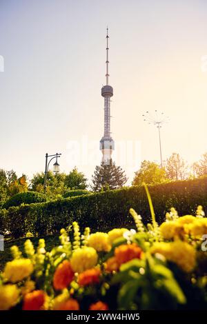 Tashkent TV Tower Toshkent Teleminorasi e fiori nel parco al tramonto in Uzbekistan Foto Stock