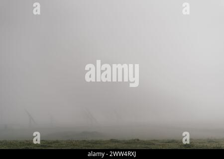 Un campo nebbioso con qualche albero sullo sfondo. Il cielo è coperto e l'erba è bagnata Foto Stock