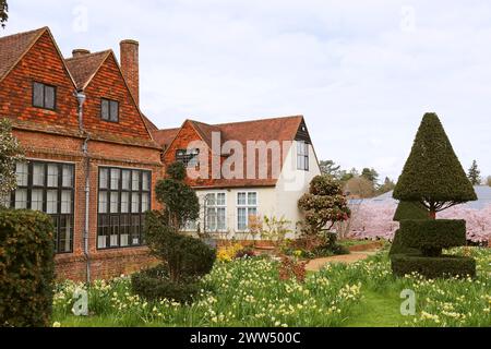 Narcisi, Old Laboratory, RHS Garden Wisley, Woking, Surrey, Inghilterra, Gran Bretagna, Regno Unito, Regno Unito, Europa Foto Stock