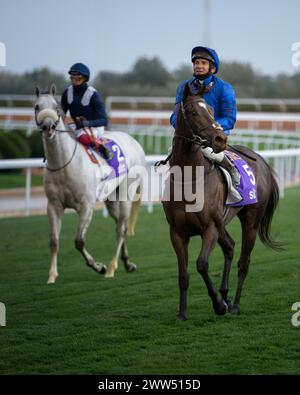 Terra di leggende con un fantino Adrie de Vries sul retro Dark Power con un fantino Frankie Dettori . La coppa saudita 2019-2020 Foto Stock