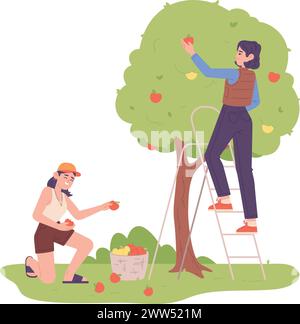 Giardinaggio estivo. Giovani donne che raccolgono frutti da alberi isolati su sfondo bianco Illustrazione Vettoriale