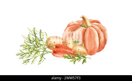 Composizione vegetale per zuppe o purè. Zucca, carota e patate. Illustrazione ad acquerello botanico disegnata a mano isolata su sfondo bianco Foto Stock