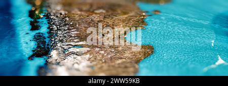 Patagonia, Cile e Argentina. Elementi di questa immagine forniti dalla NASA. rendering 3d. Foto Stock