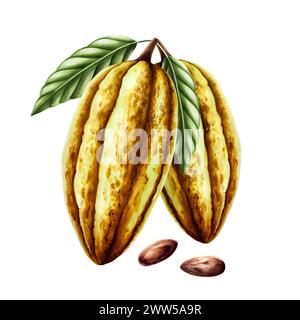 Composizione acquerello con cialde di cacao, frutta, foglie verdi e fagioli secchi di cacao. Api disegnate a mano, realistico isolamento di illustrazione di superalimenti biologici Foto Stock