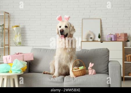 Simpatico cane Labrador con orecchie da coniglio e uova di Pasqua sul divano di casa Foto Stock