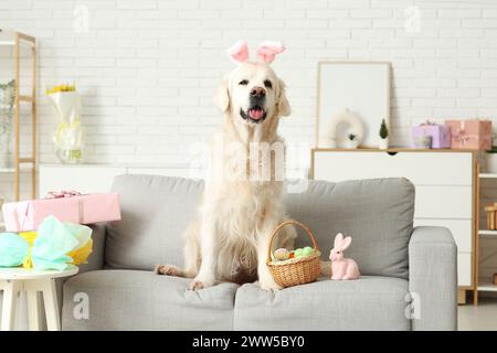 Simpatico cane Labrador con orecchie da coniglio e uova di Pasqua sul divano di casa Foto Stock